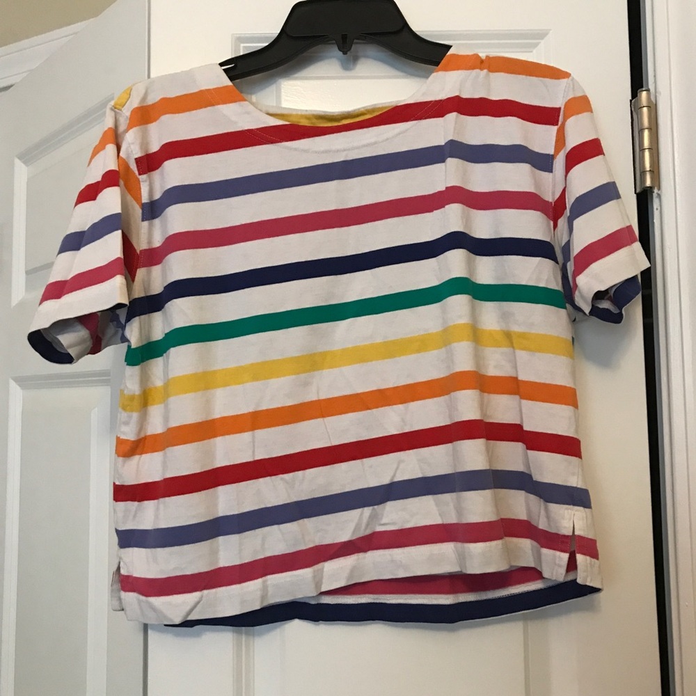 Rainbow stripe vintage box cut crop top